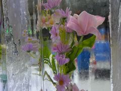 -宁波冰雪大世界(北仑区)