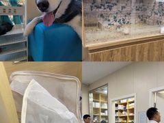 -美联众合爱康动物医院•复杂内科•肿瘤科•牙科•腔镜诊疗中心