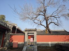 -承恩寺