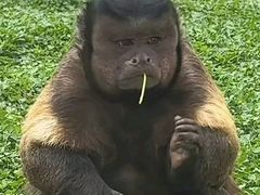 -合肥野生动物园