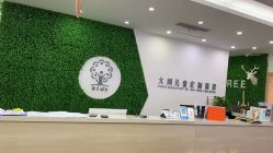 点击看大图 -大树儿童摄影