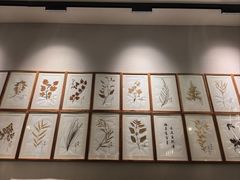 -清真·宁夏印象·盐池滩羊肉体验店(江宁路店)