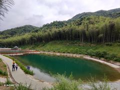 -龙坞茶村