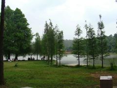 -南宁良凤江国家森林公园