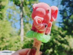-秦皇岛野生动物园