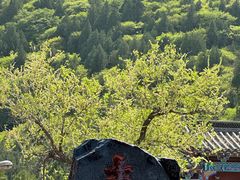 -青州市云门山风景区