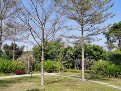 -福田红树林生态公园