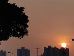 -番禺大夫山森林公园