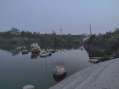 -大港湿地公园