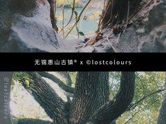 -惠山古镇·寄畅园