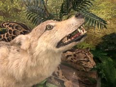 -下渚湖国家湿地公园科普馆