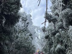 -江西阳明山国家森林公园