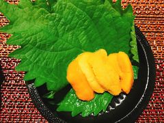 -青叶日式料理(飘亮阳光广场店)