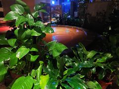 -齐河孔雀王温泉酒店·金孔雀自助百汇