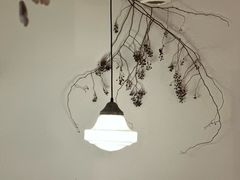 -Ginko银子(青龙街店)