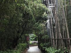 -绳金塔