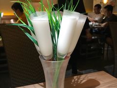 -探窝·竹笙椰子鸡(杨箕店)