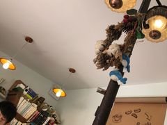 -海边的猫和咖啡馆