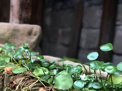 -驿舍·民國老营房院子私房菜(科学会堂店)