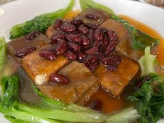 -东鸽皇(奥园·中环广场店)
