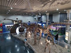 -国家自然博物馆