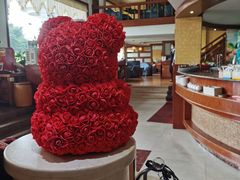 -OLD TREE老树咖啡·西餐厅(台山人工湖店)