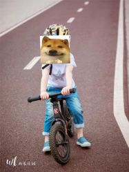 -西瓜庄园儿童摄影