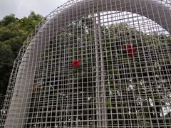 -渤公岛生态公园