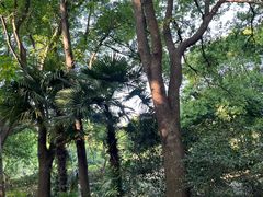 -同里国家湿地公园