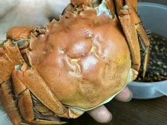 螃蟹-海贡平价海鲜超市