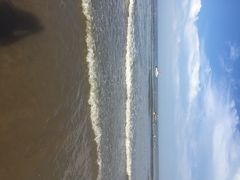 日照海滨国家森林公园-日照海滨国家森林公园