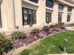 -伯衡55·吉品轩(乌鲁木齐南路店)