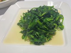 -正兴蜀园(科技园区店)