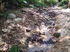 -火炉山森林公园