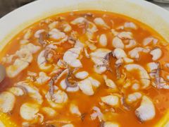 -青花椒花椒鱼(合生汇店)