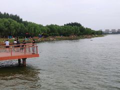 景点-丁香湖公园