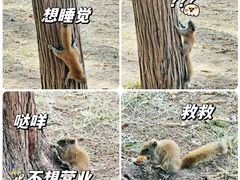 -天坛公园