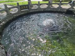 -百脉泉景区