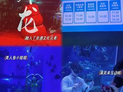 -顺德南宏海立方海洋公园