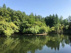 -上海滨江森林公园