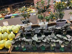 -果蔬好生活超市(乐堤港店)