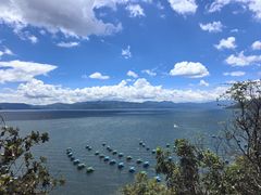-抚仙湖禄充风景区
