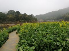 花海-广州市石门国家森林公园