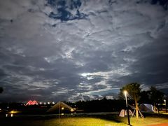 -春花秋色城市公园