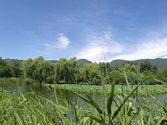 -国家植物园南园