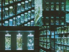 -广东中医药博物馆