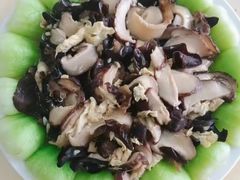 -天鹅到家·保姆月嫂育儿嫂(天河店)