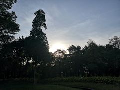 -海珠湖公园