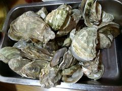 -罗源湾8号渔排