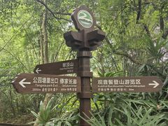 -大屏嶂森林公园